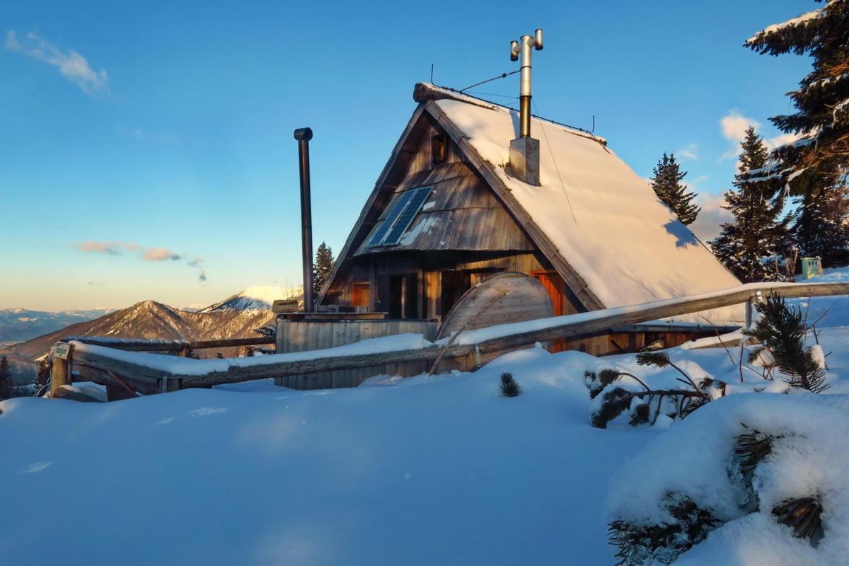 Villa Chalet Encijan - Velika Planina à Stahovica Extérieur photo