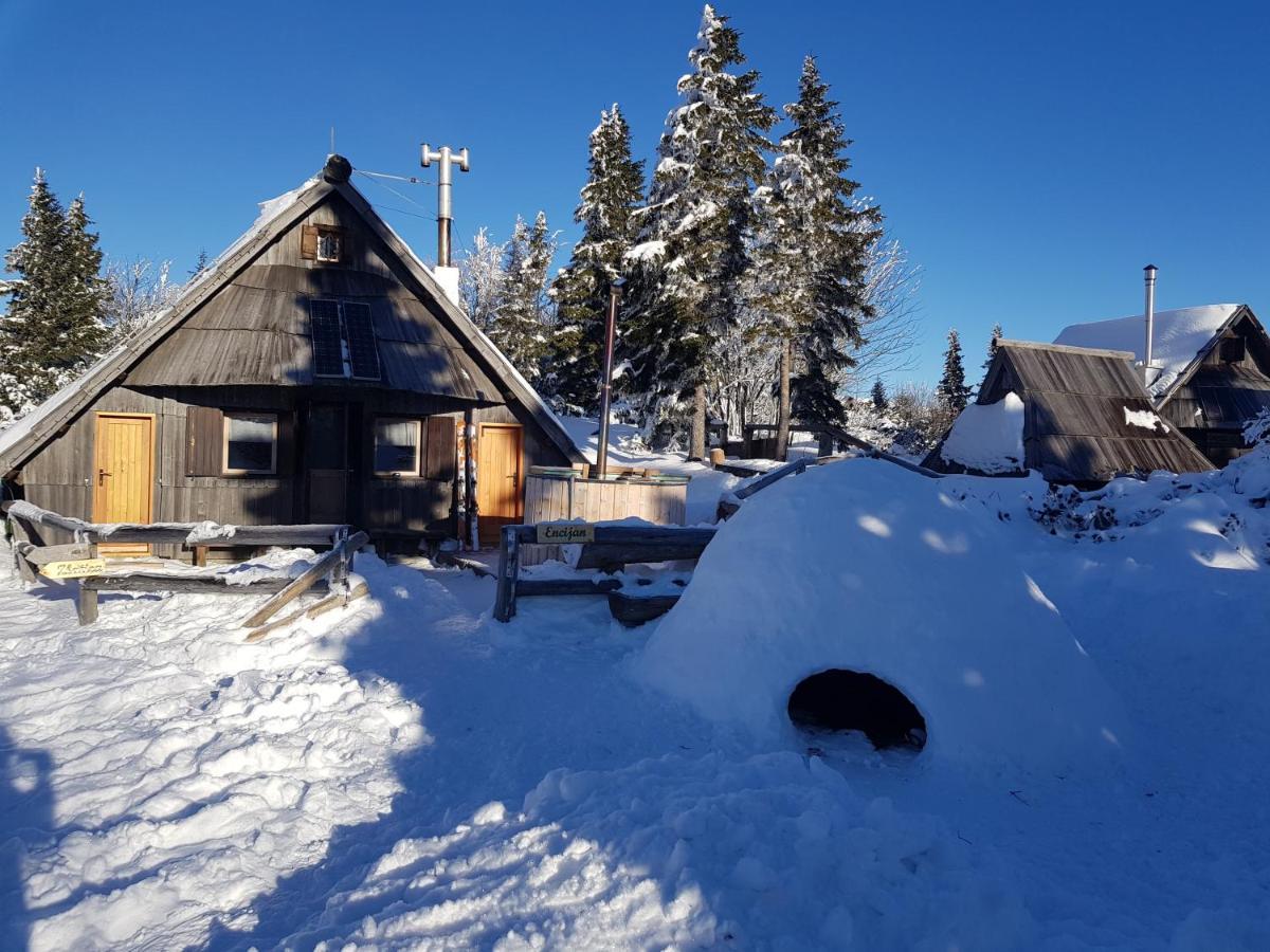 Villa Chalet Encijan - Velika Planina à Stahovica Extérieur photo