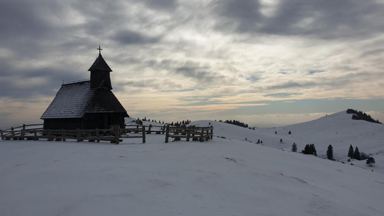 Villa Chalet Encijan - Velika Planina à Stahovica Extérieur photo
